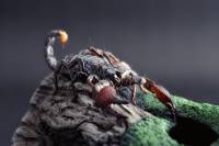 Pandinus imperator - Императорский скорпион